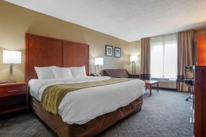 Gallery image of Comfort Inn University Area in Baton Rouge