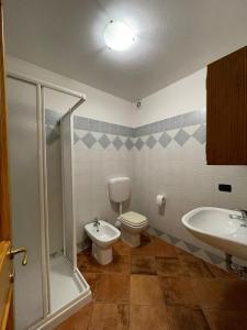 een badkamer met een toilet en een wastafel bij Da Nonno Nani in Venas
