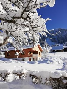 ein schneebedecktes Gebäude mit einem Baum im Vordergrund in der Unterkunft Ferienwohnung Anton Künzler in Riezlern