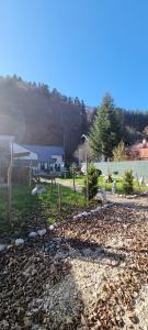 a yard with rocks and trees and a building at Dream House in Buşteni