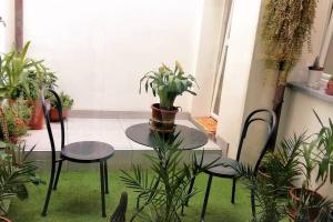 A garden outside Buon Hotel Bologna Centro - Affittacamere - Self Check-In