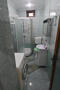 a bathroom with a shower and a toilet and a sink at Apartament Camelia in Petroşani +14 photos