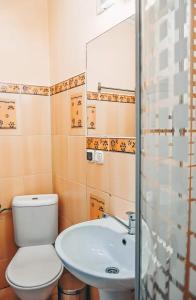 ein Bad mit einem WC und einem Waschbecken in der Unterkunft Apartament Piaseckiego in Zakopane