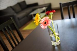 Posezení v ubytování Saeli Apartments