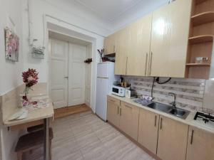 リヴィウにあるCentral apartment on Rynok Squareのシンクと電子レンジのある小さなキッチン