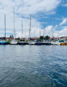 Afbeelding uit fotogalerij van B&B Tholen t’Uusje in Tholen