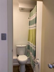 a bathroom with a toilet and a shower curtain at Studio Victoria 400 in Concepción +8 photos