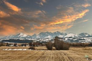 a field with snow covered mountains in the background at Pod Strumykiem in Czarny Dunajec