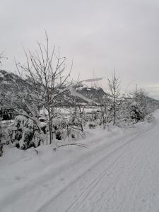 una carretera cubierta de nieve con árboles en el lateral en Ferienwohnungen Vordergriess en Hochfilzen