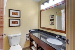 Gallery image of Comfort Inn & Suites North Aurora - Naperville in Aurora