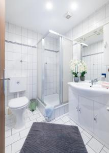La salle de bains est pourvue de toilettes, d'un lavabo et d'une douche. dans l'établissement Haus Familie Presslauer-Mori, à Klopein am Klopeiner See