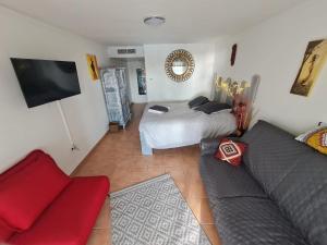 a living room with a couch and a bed at AT HOME studio rénové près de la plage in Sainte-Anne