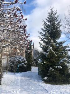 Lileya Hotel v zime