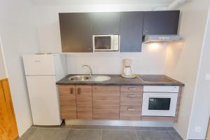 Kuchyň nebo kuchyňský kout v ubytování Residencia Pedrous