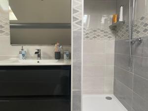 bagno con doccia, lavandino e servizi igienici di Joli appartement Le tholy a Le Tholy