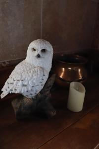 an owl sitting on a table next to a candle at Le grand gîte du Sorcier ! Logement magique in Colmar +5 photos