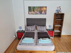 Säng eller sängar i ett rum på Ferienwohnung BerGlück