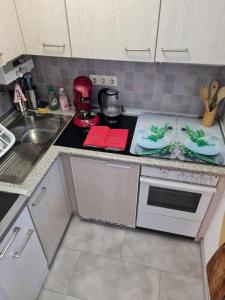 Η κουζίνα ή μικρή κουζίνα στο Ferienwohnung BerGlück