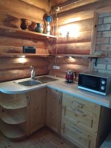 a kitchen with a sink and a microwave at Ausekļu dzirnavu pirts in Pastva Barbern