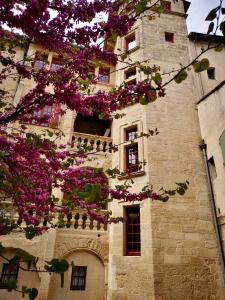 ein Gebäude mit lila Blumen davor in der Unterkunft appartement a 50 m de la place aux herbes in Uzès