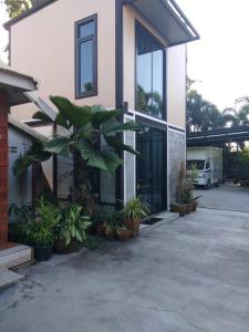 a palm tree in front of a building with plants at บ้านขวัญกมล in Chiang Khan