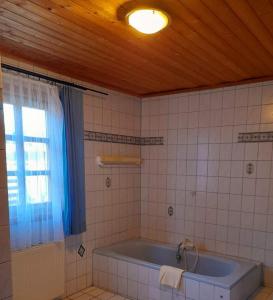 baño con bañera y ventana en Ferienhaus Himmelreich en Seebenstein