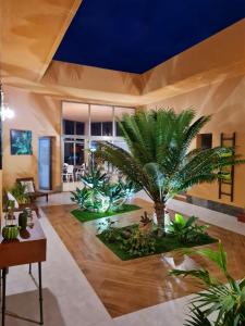 een woonkamer met een palmboom in het midden bij Villa Fortuna in Caleta De Fuste