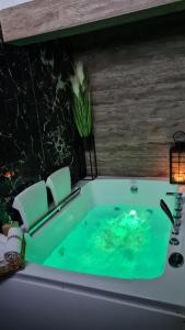 ein Badezimmer mit einer Badewanne mit grünem Wasser in der Unterkunft De LUX Apartman in Čačak