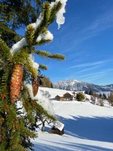 Ein Weihnachtsbaum mit Schnee drauf in der Unterkunft Kirchenbichlerhof in Pruggern