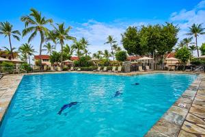 - une piscine avec des dauphins dans l'eau d'un complexe dans l'établissement Keauhou Kona Surf & Racquet Club #2-303, à Kailua-Kona