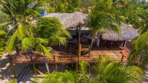 uma vista aérea de um resort com palmeiras em Casa Camurupim em Barra Grande