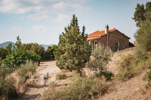 uma casa numa colina com um cavalo à frente em Toumba Eco Farm Guesthouses em Plomari