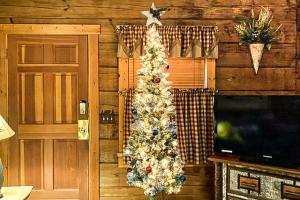 Galeriebild der Unterkunft Pine Cone Ridge in Sevierville