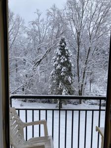 Gallery image of Private Apartment in Morshin