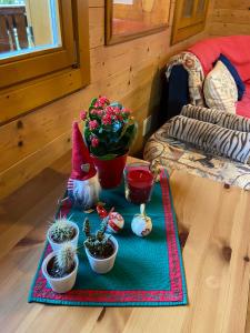 Φωτογραφία από το άλμπουμ του CHALET B&B LAGHETTI MARTINA σε Crevalcore