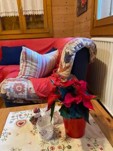 Φωτογραφία από το άλμπουμ του CHALET B&B LAGHETTI MARTINA σε Crevalcore