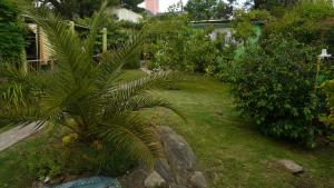 einen Garten mit einer Palme im Hof in der Unterkunft El Jardin de Nora in Tandil
