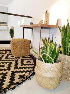 Fotografie z fotogalerie ubytování Boho katoikia v destinaci Volos