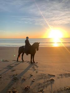 a person riding a horse on the beach at sunset at Bryn Y Bwyd Farm House in Barmouth