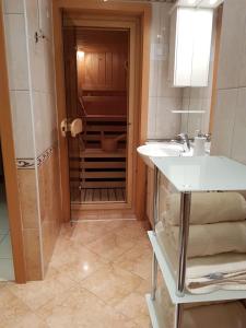 克拉尼斯卡戈拉Apartment Ranc的带水槽和马桶的浴室