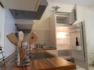 克拉尼斯卡戈拉Apartment Ranc的厨房配有台面和冰箱