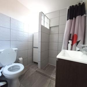 une salle de bains blanche avec toilettes et lavabo dans l'établissement Aires del Pipo, à Ushuaia