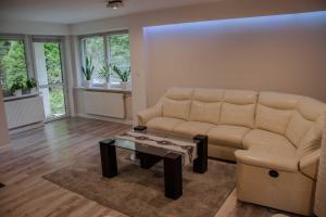 een woonkamer met een bank en een salontafel bij Dom na Wynajem - Bartoszówka in Ochotnica Górna +44 foto's