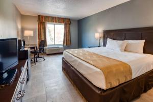 a bedroom with a bed and a desk and a television at SureStay Plus Hotel by Best Western Durham Medical Center in Durham