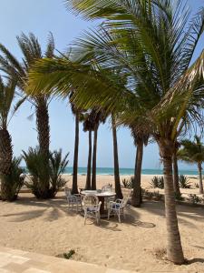 a table and chairs on the beach with palm trees at Villa Nº 25 Alfredo Marchetti Suites on the Beach,Praia de Chaves BV in Cabeçadas