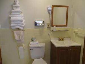 a bathroom with a toilet and a sink and a mirror at PRAIRIE WINDs MOTEL CARTHAGE 