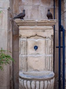 due uccelli seduti sopra una fontana di pietra di Clos Saint Martin a Caen