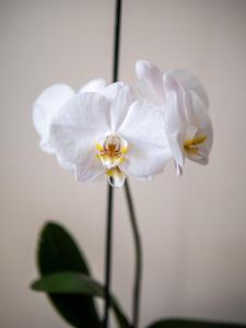 凯恩Clos Saint Martin的相册照片