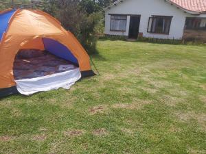 an orange tent in the grass in a yard at Hospedaje y Zona de Camping Pistacho in Villa de Leyva
