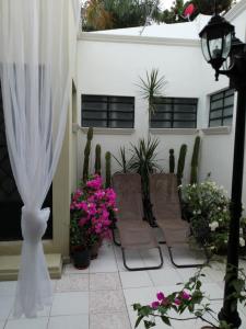 eine Terrasse mit einem Haufen Pflanzen und Blumen in der Unterkunft MI CA-SA EN MÉRIDA in Mérida